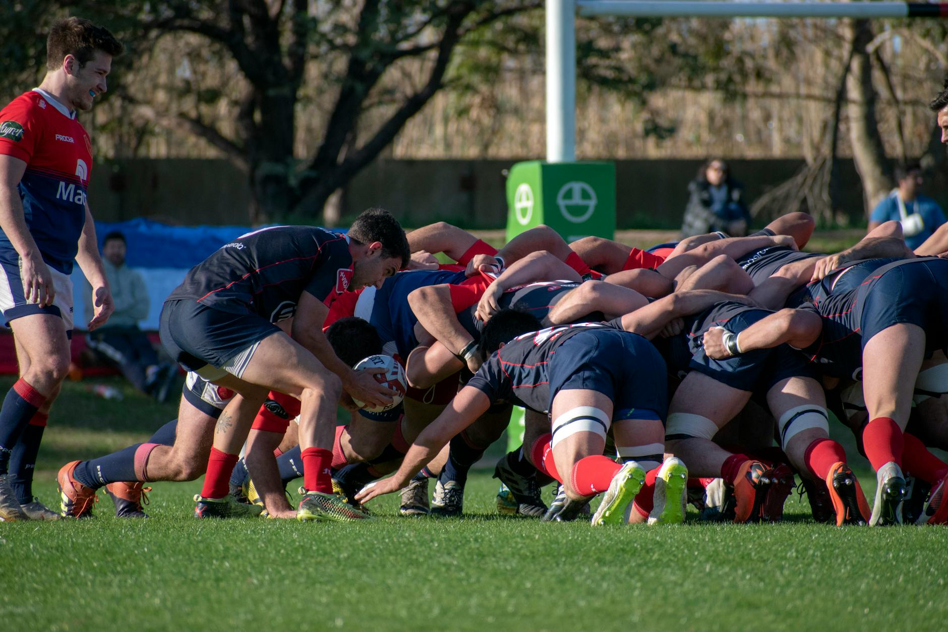Mêlée rugby