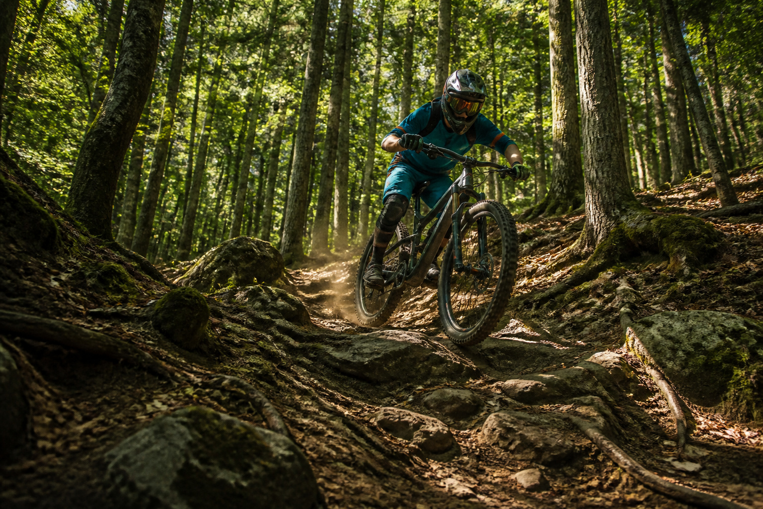 Vtt enduro descente technique en foret
