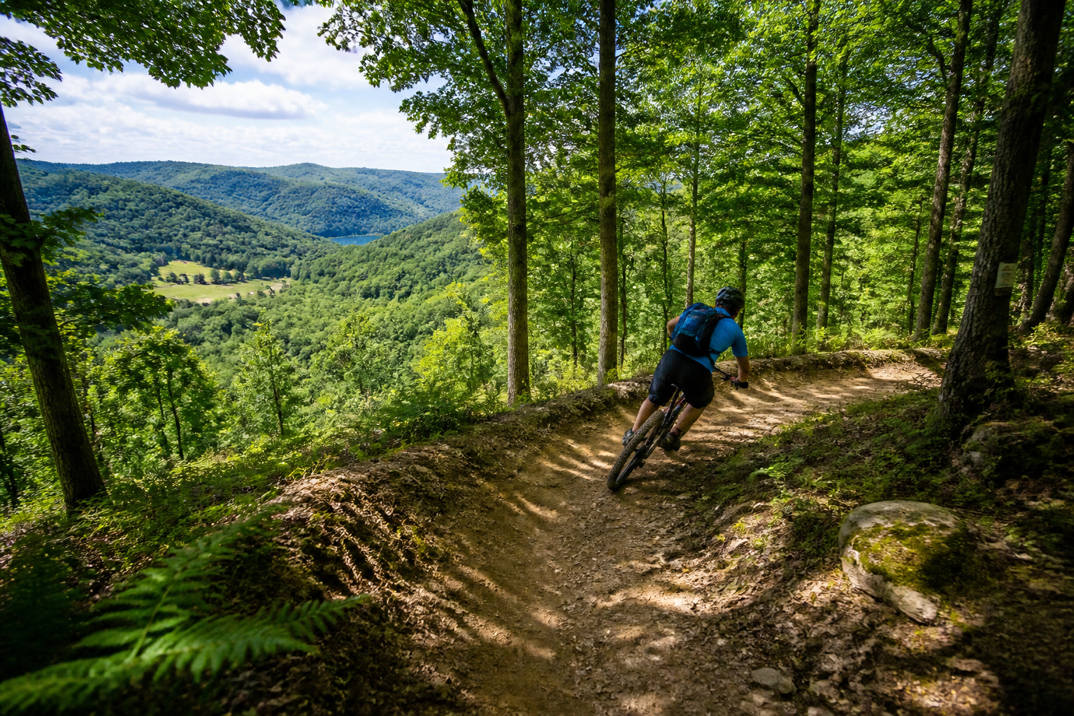 Vtt dans la foret du morvan