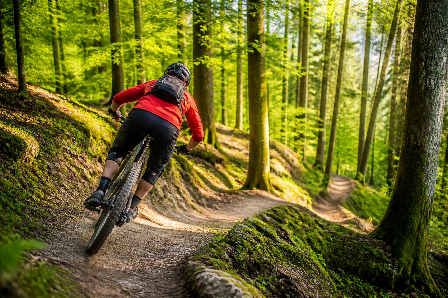 Vtt dans une foret luxuriante